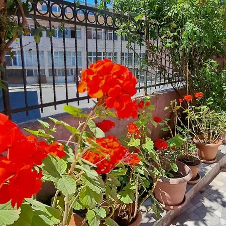 Appartement Golden Life Gl