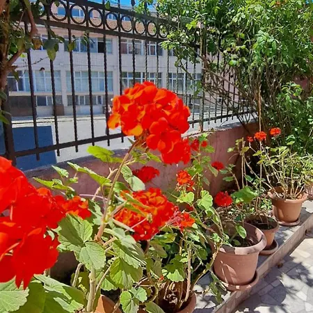 Apartment Golden Life Gl
