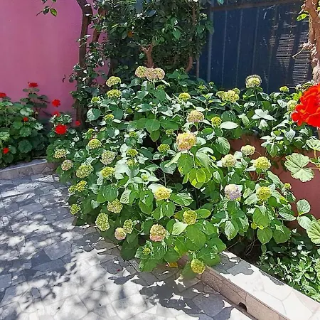 Golden Life Gl アパート *