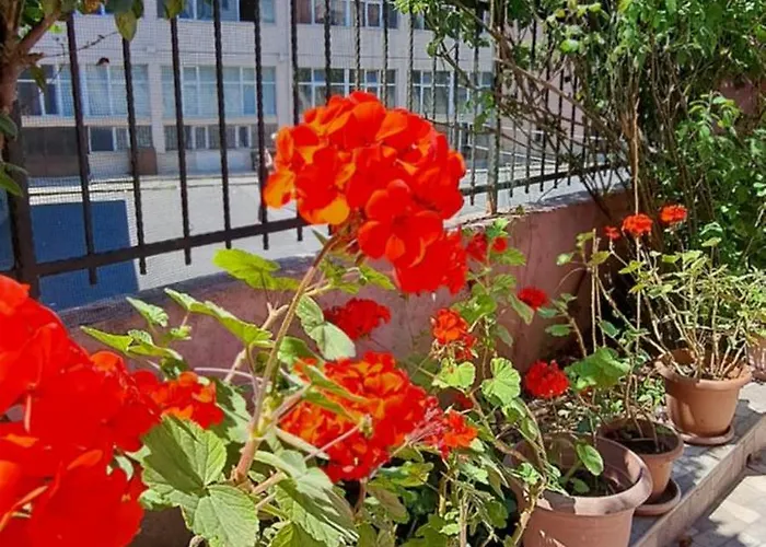 Apartamento Golden Life Gl