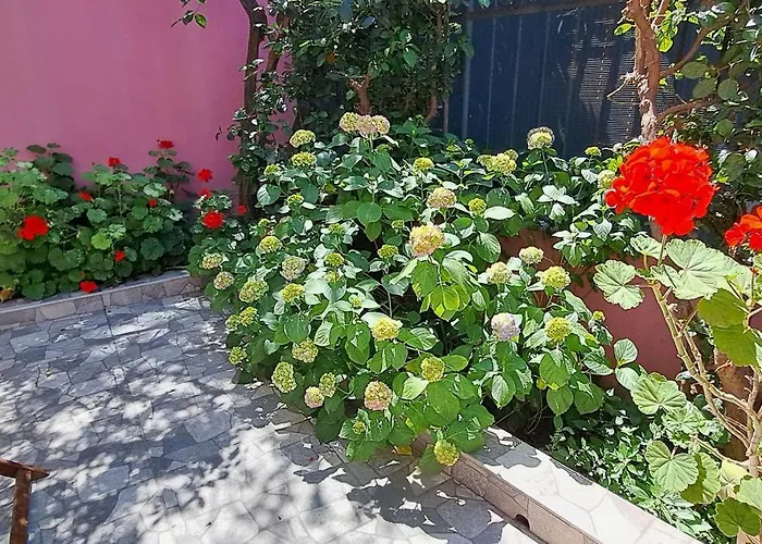 Golden Life Gl Apartamento *